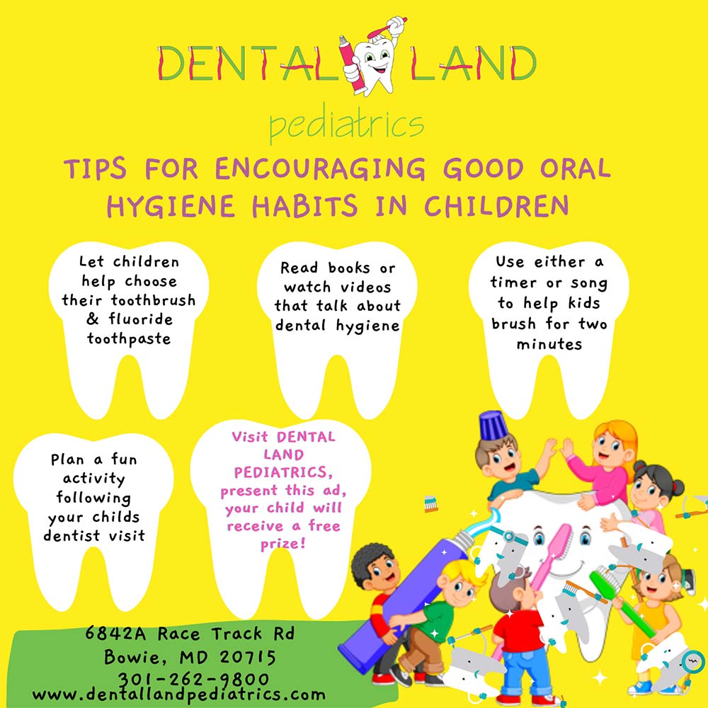 Dental Land Pediatrics - TIPS FOR ENCOURAGING GOOD ORAL
HYGIENE HABITS IN CHILDREN
Let children help choose their toothbrush & fluoride toothpaste
Read books or watch videos that talk about dental hygiene
Use either a timer or song to help kids brush for two minutes
Plan a fun activity following your childs dentist visit
Visit DENTAL
LAND
PEDIATRICS, present this ad. your child will receive a free prize!<br>6842A Race Track Rd
Bowie, MD 20715
www.dentallandpediatrics.com